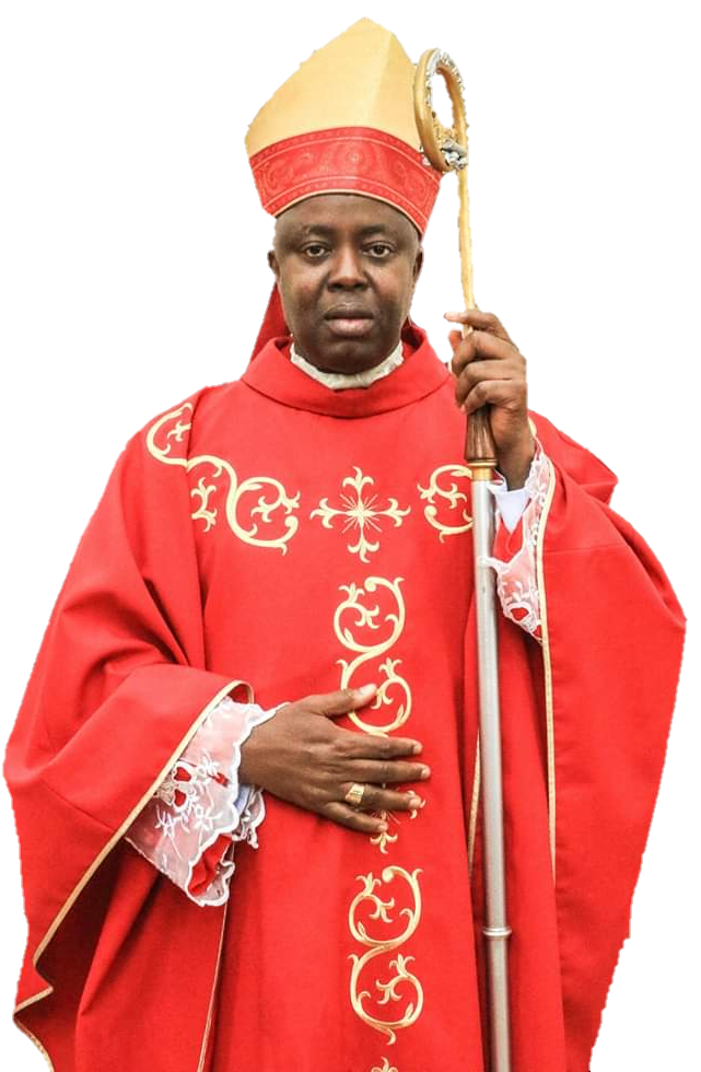 Bishop of Enugu Diocese